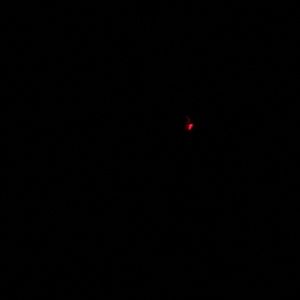 Meet your Posher, Elton